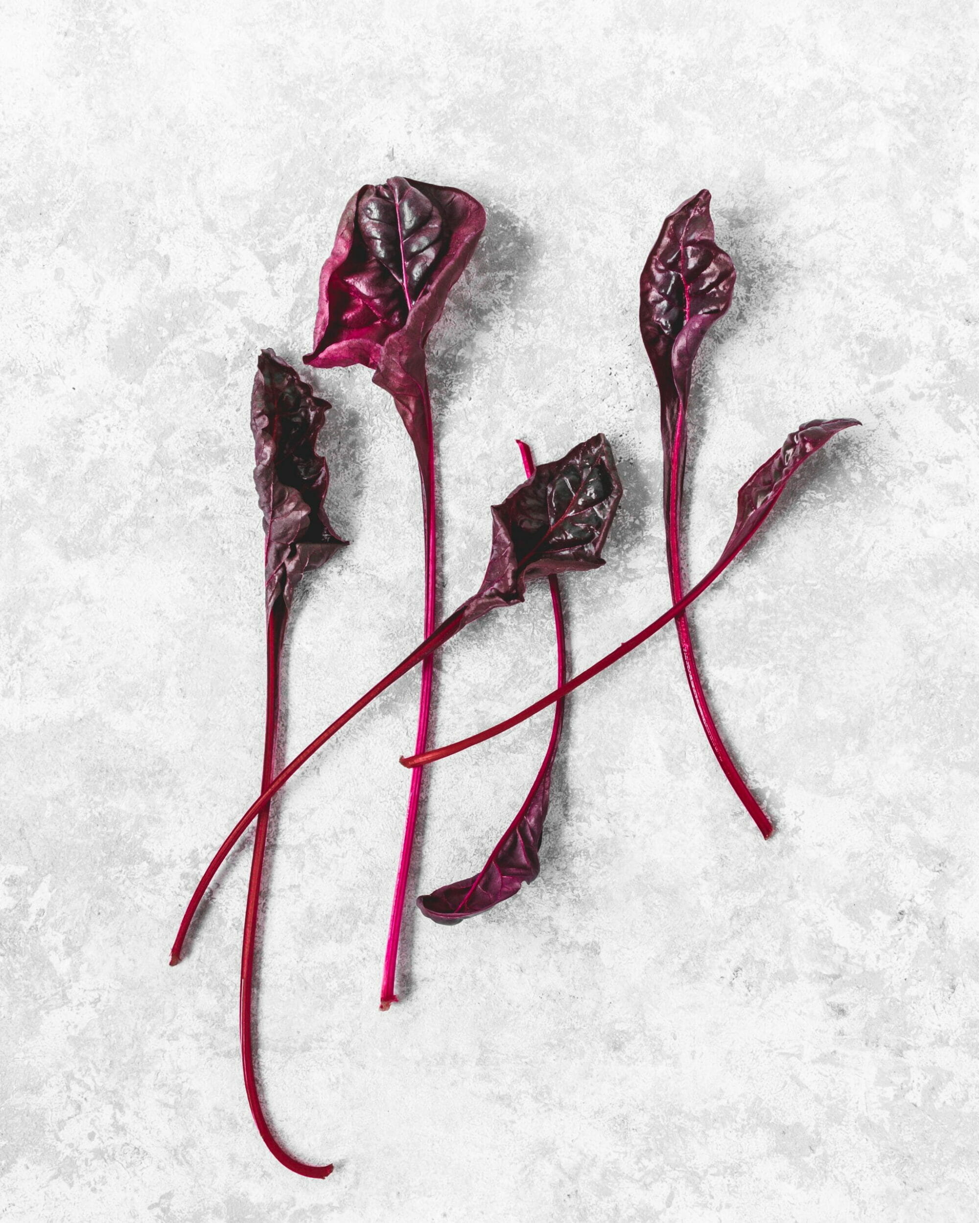 Botwina z domowej uprawy