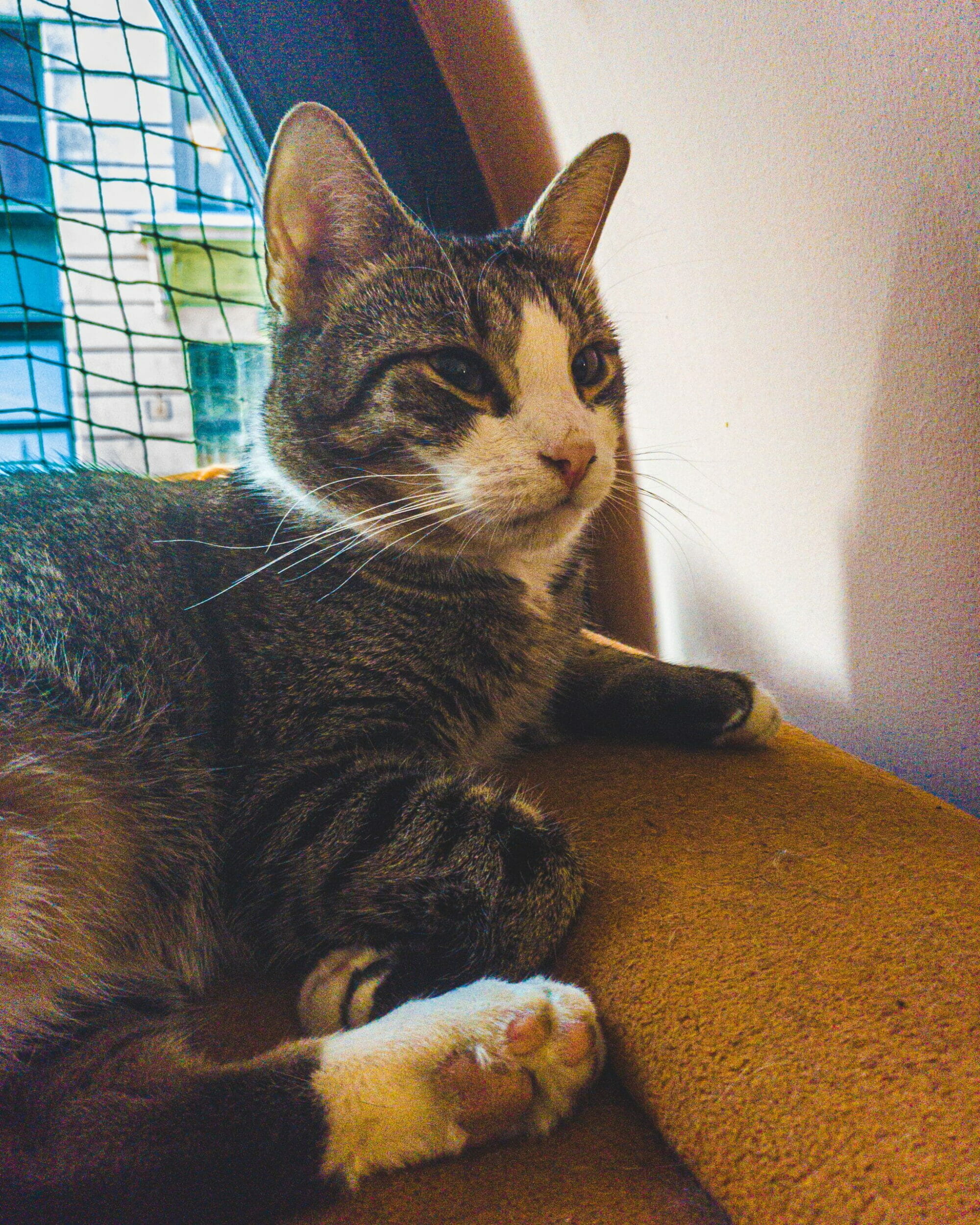 Budapeszt – gdzie dobrze (i oczywiście tanio!) zjeść?